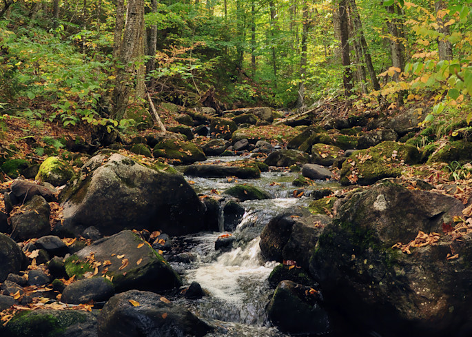 Babble Art | tommurray