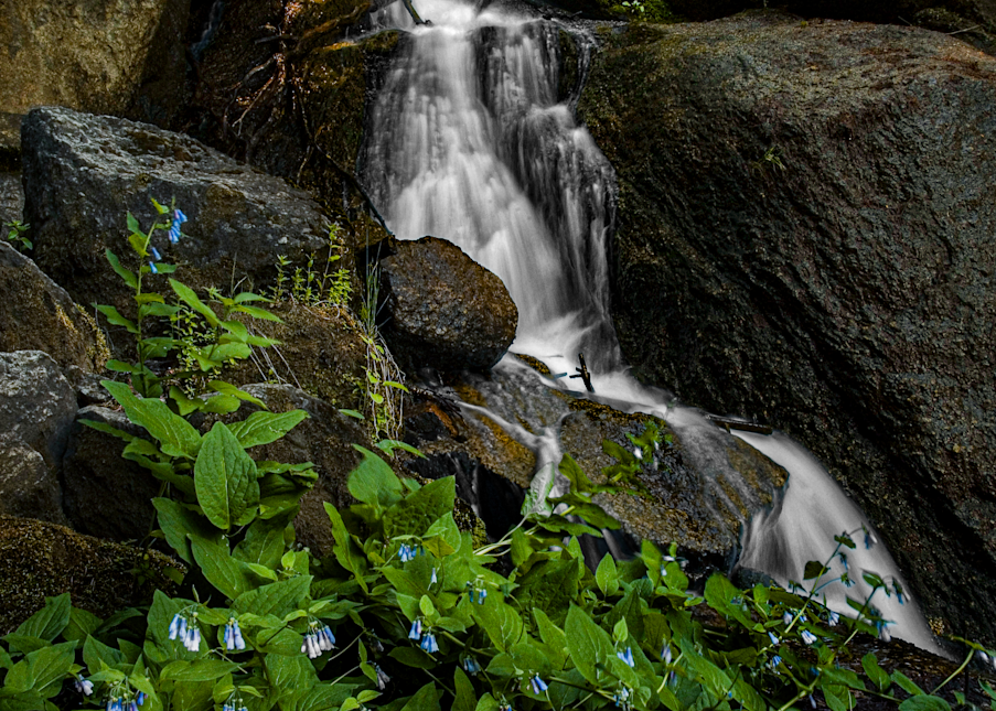 Dsc 2491010706 352368872 O Photography Art | James H Egbert's Silver Branch Studios