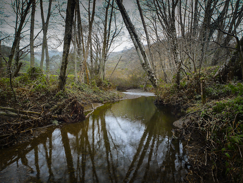 Landscape, Photography, California, Marin County, Landscape, Photography, California, Marin County,