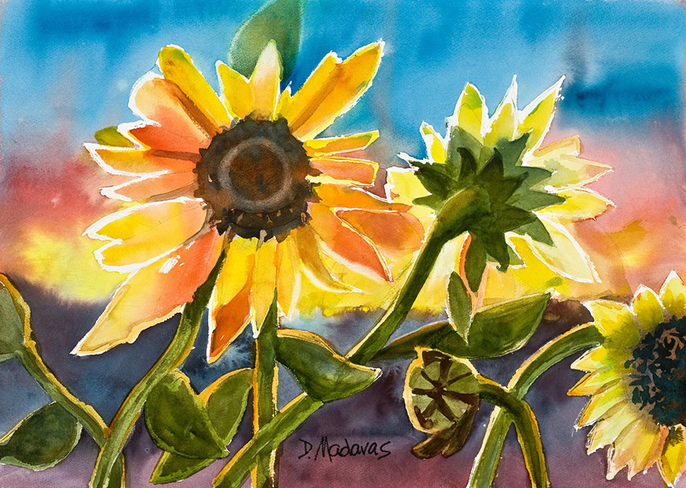 Sunflowers At Sunset Southwest Art Gallery Tucson
