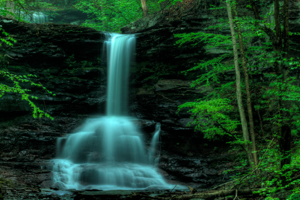A Fine Art Photograph of a Popular Waterfall of Ricketts Glen by Michael Pucciarelli
