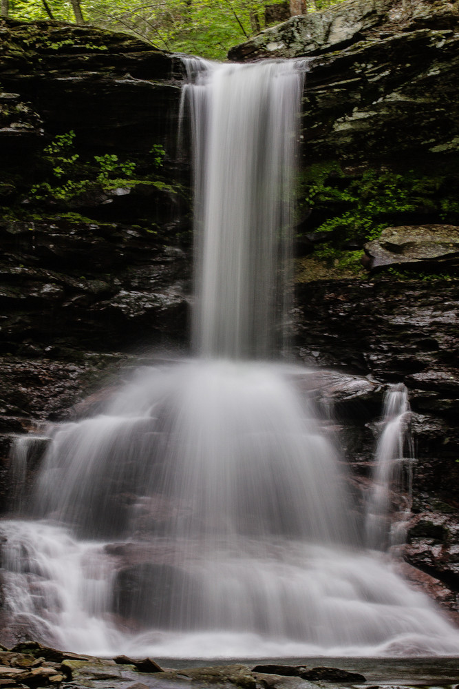 A Fine Art Photograph of Waters of Ricketts Glen by Michael Pucciarelli