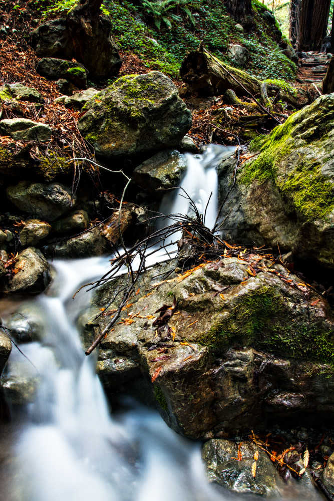Waterfall At Hare Creek Trail in Limekiln State Park Photograph for Sale as Fine Art