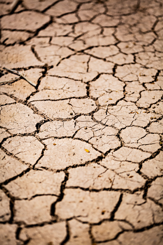 Dry Cracked Trail At The Salton Sea Photograph for Sale as Fine Art Dry Cracked Trail At The Salton Sea Photograph for Sale as Fine Art
