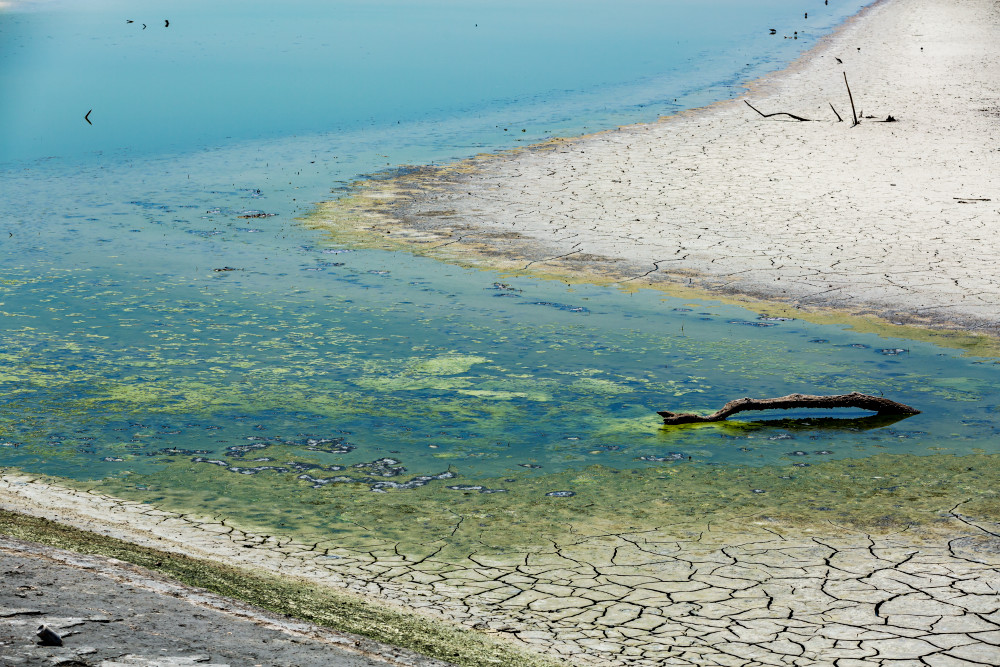 Dry Shoreline at Sonny Bono Salton Sea National Wildlife Refuge Photograph for Sale as Fine Art Dry Shoreline at Sonny Bono Salton Sea National Wildlife Refuge Photograph for Sale as Fine Art
