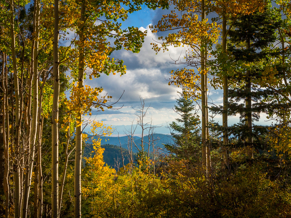 Autumn, Landscape, New Mexico, Photography, Santa Fe, Aspens, Southwest Autumn, Landscape, New Mexico, Photography, Santa Fe, Aspens, Southwest