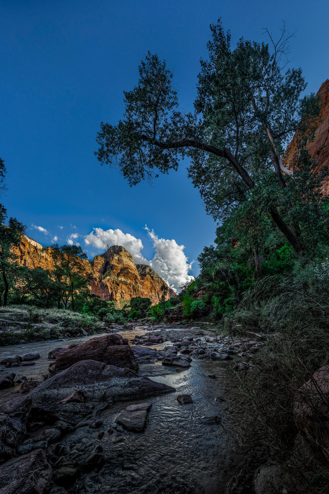 Zion Canyon and Virgin River - Emerald Pools Trail - Zion National Park - Utah