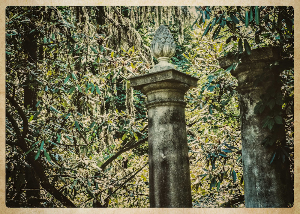 Columns   Greenwood Gardens Photography Art | David Frank Photography