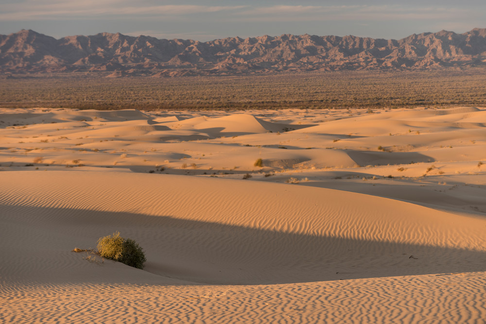 Algodones Dunes, Glamis, California; North Algodones Dunes Wilderness