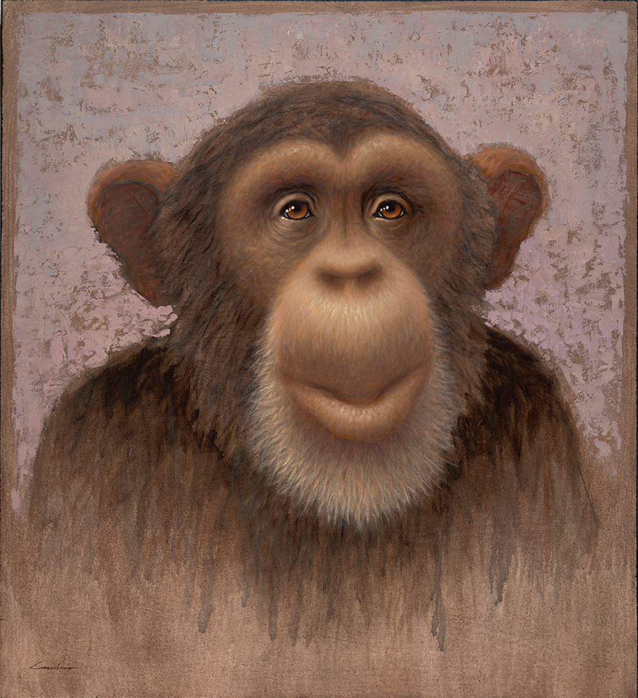 Chimp Art | Fine Art New Mexico