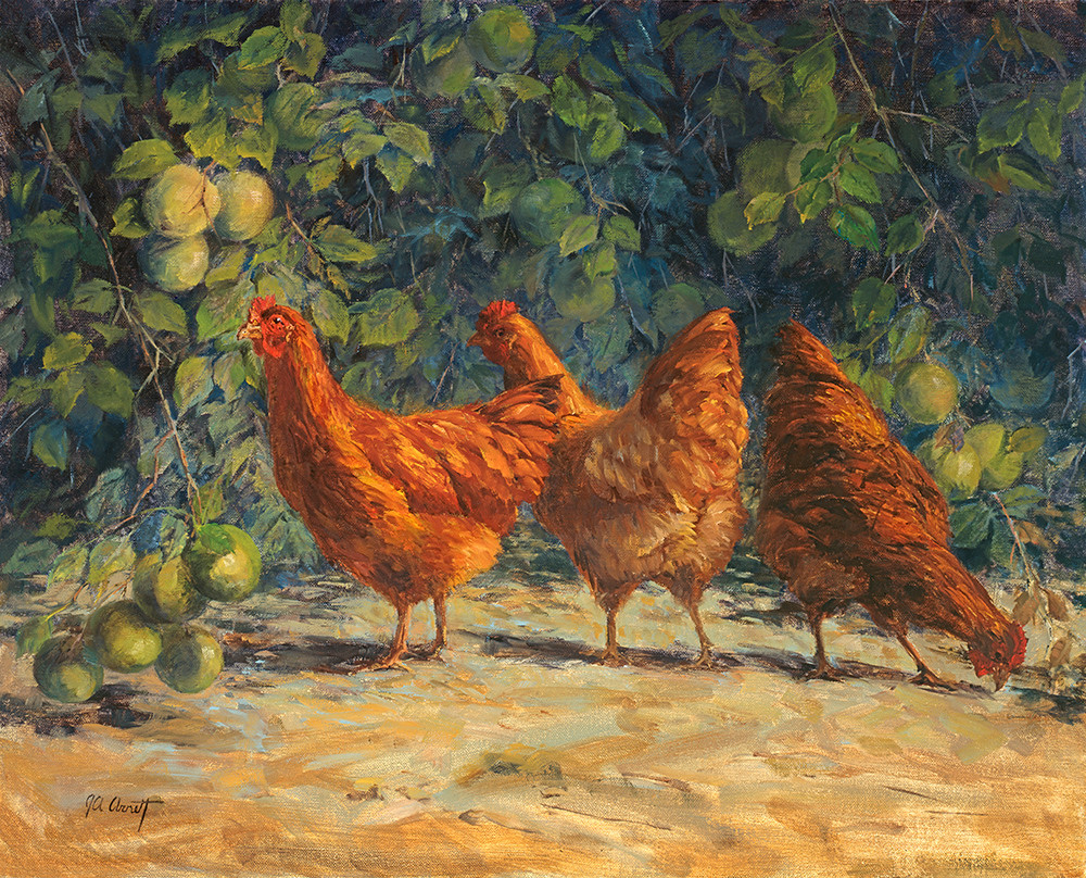 Into The Orchard Joe Anna Arnett