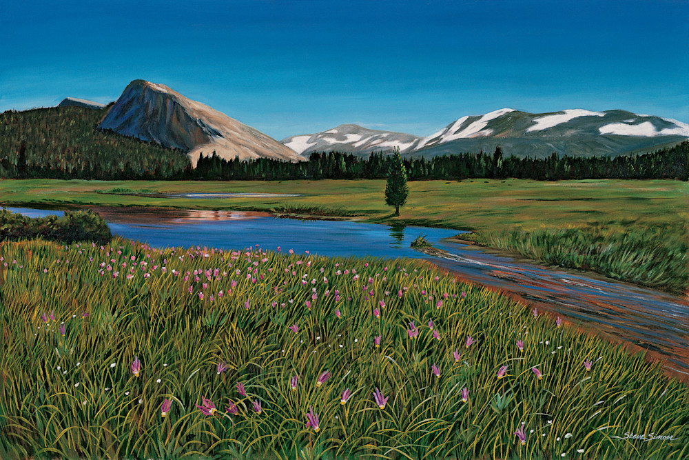 Tuolomne Meadows in Yosemite Tuolomne Meadows in Yosemite