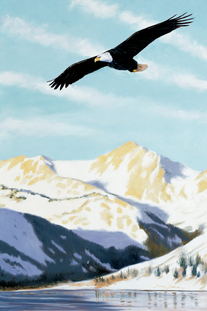 Bald Eagle Soaring Over Twin Lakes Bald Eagle Soaring Over Twin Lakes