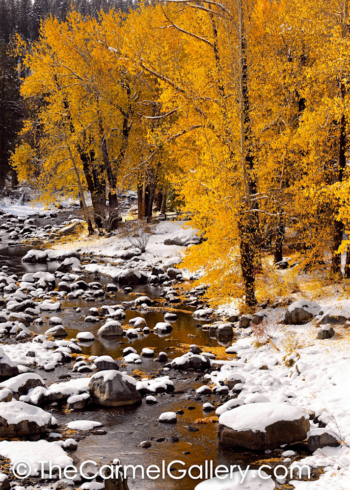Early Snow, Truckee River