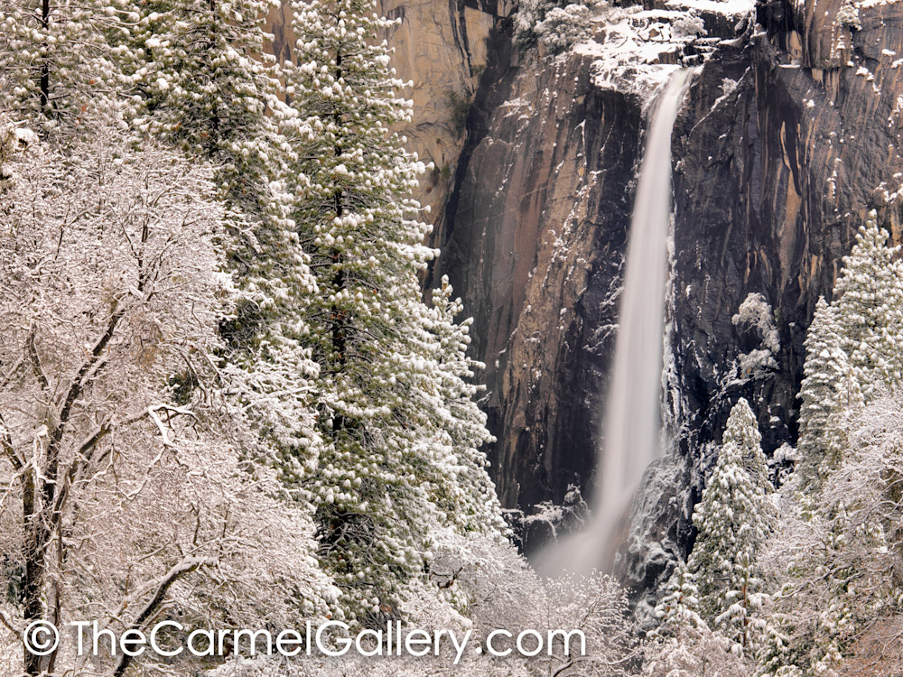 Winter Wonder, Yosemite