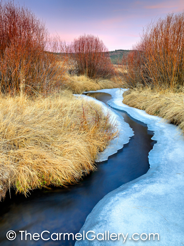 Approaching Winter, Martis Valley