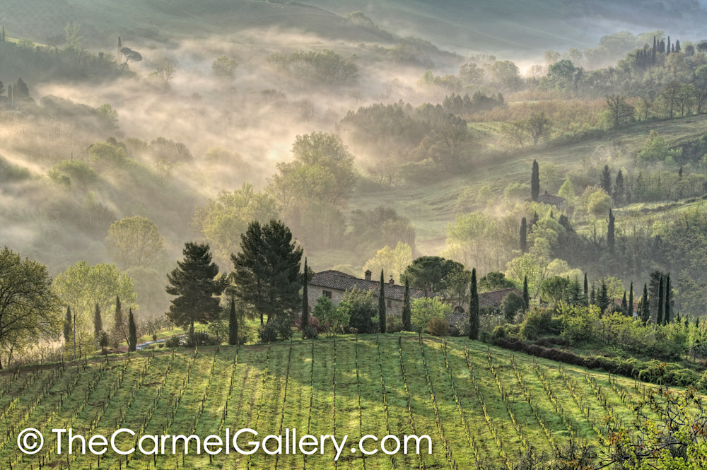 Morning Mist, Tuscany