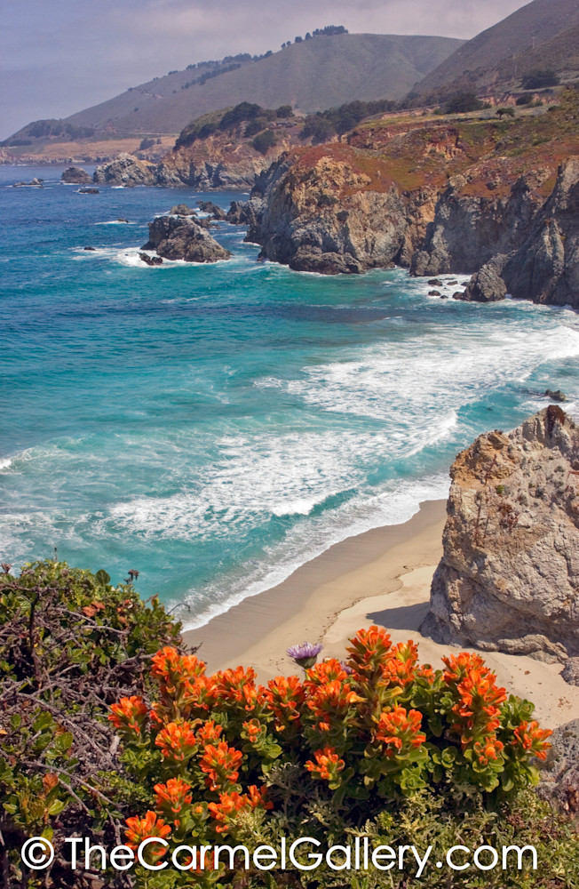 Big Sur Coast in Spring