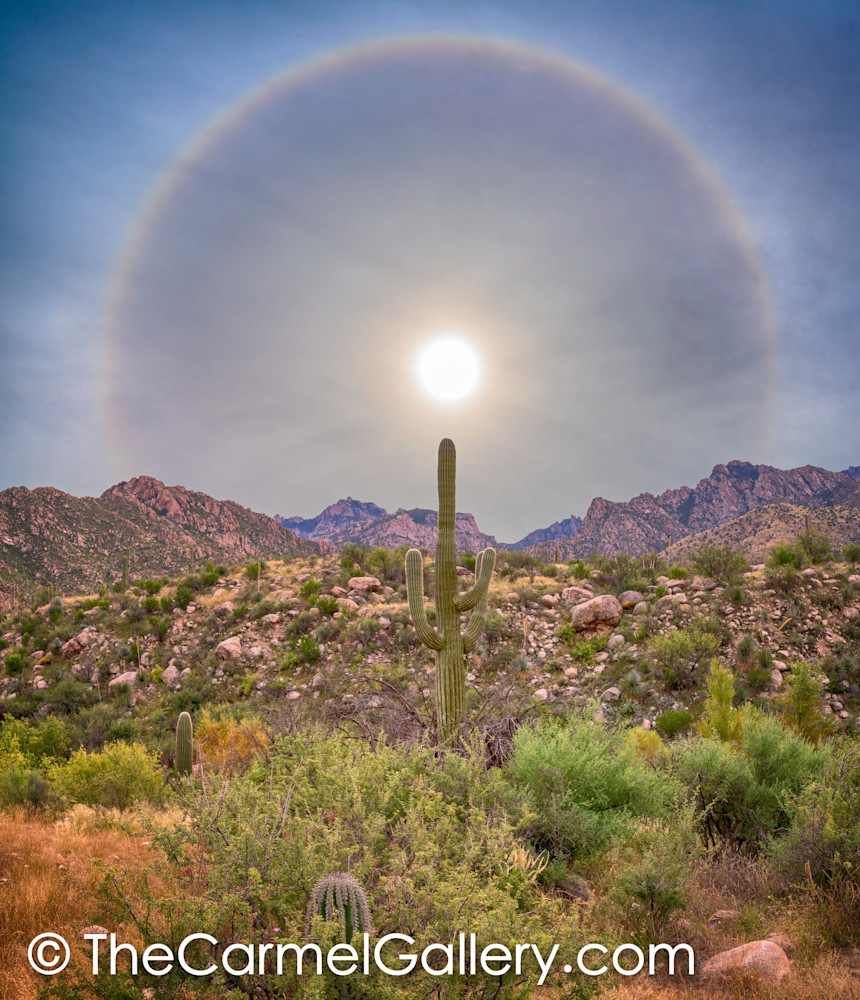 Saguaro Rainbow