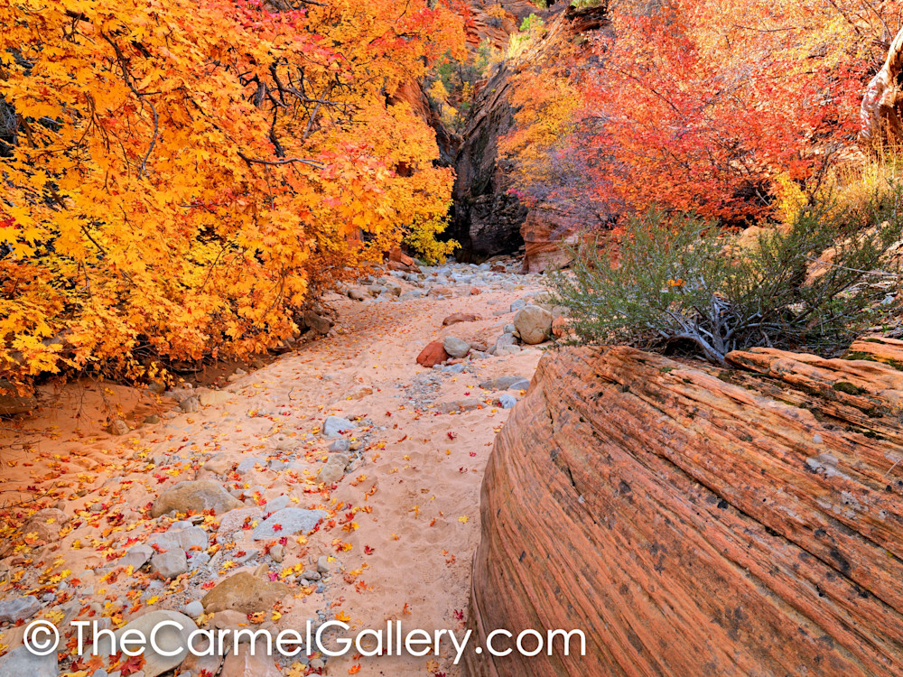 Slot Canyon in Autumn