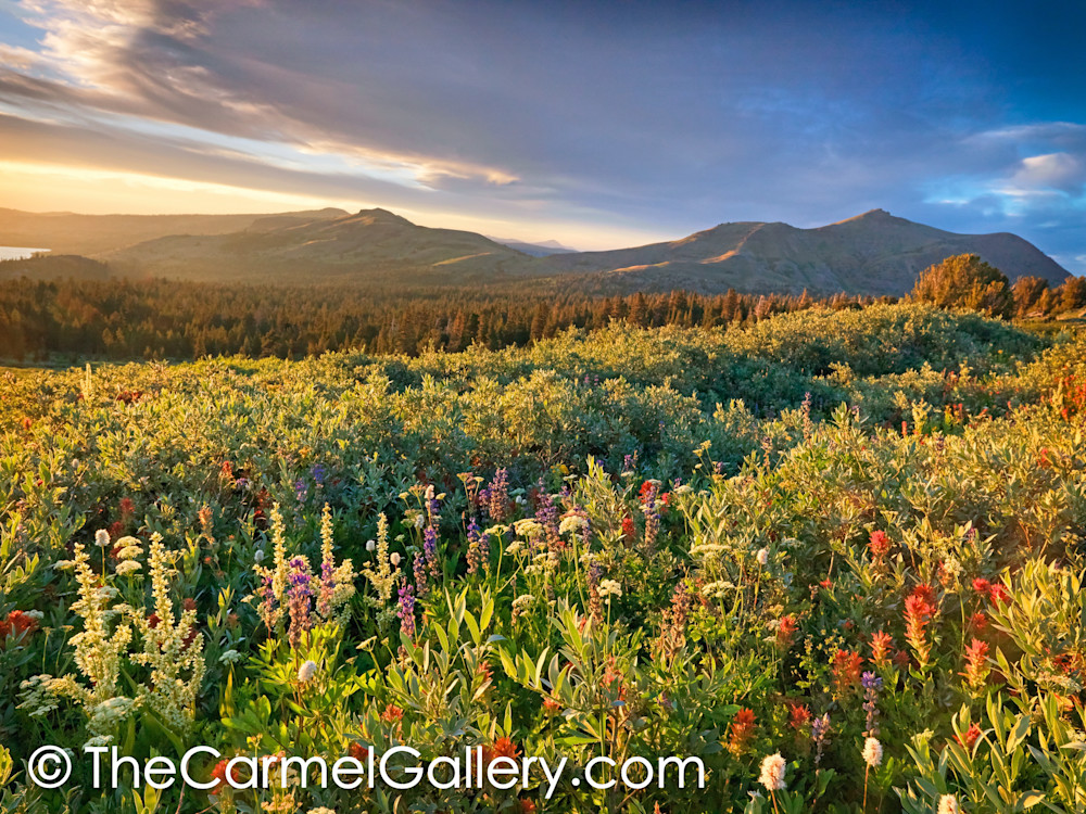Evening Glow, High Sierra Evening Glow, High Sierra