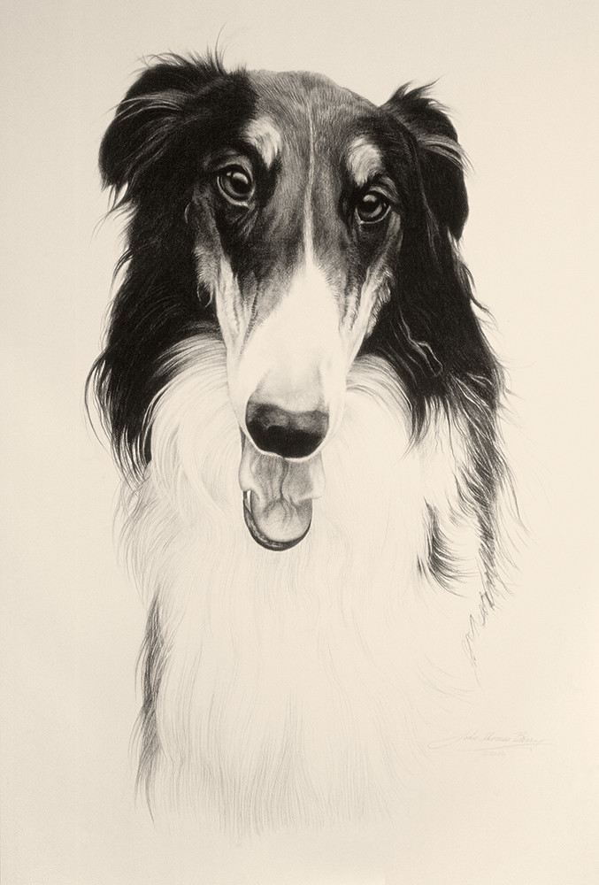 Borzoi_em8eev.jpg