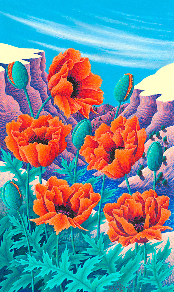 Canyon Poppies Art | Fine Art New Mexico