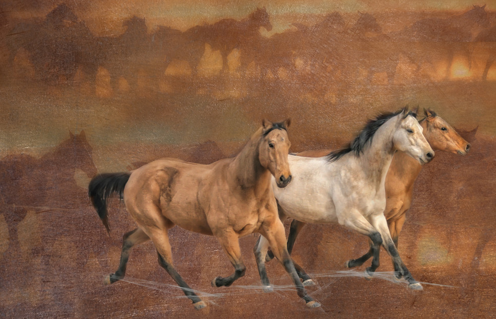 Buttermilk & Toast By The Fire Art | JL Grief Fine Art Photography