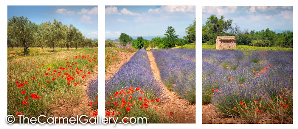Flowered Fields Provence ALL