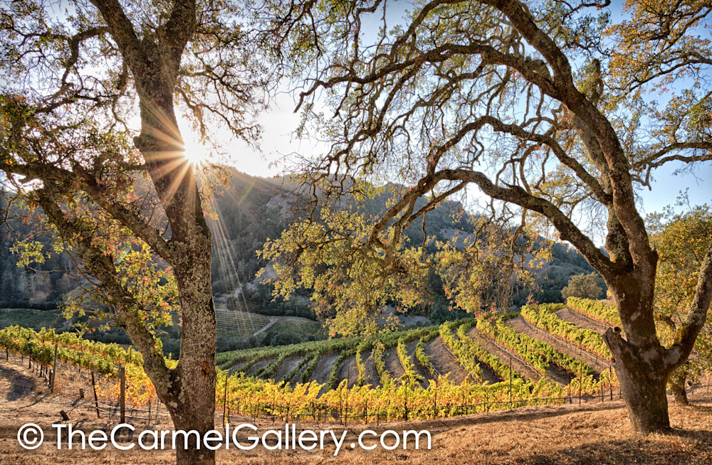 Setting Sun Wine Country