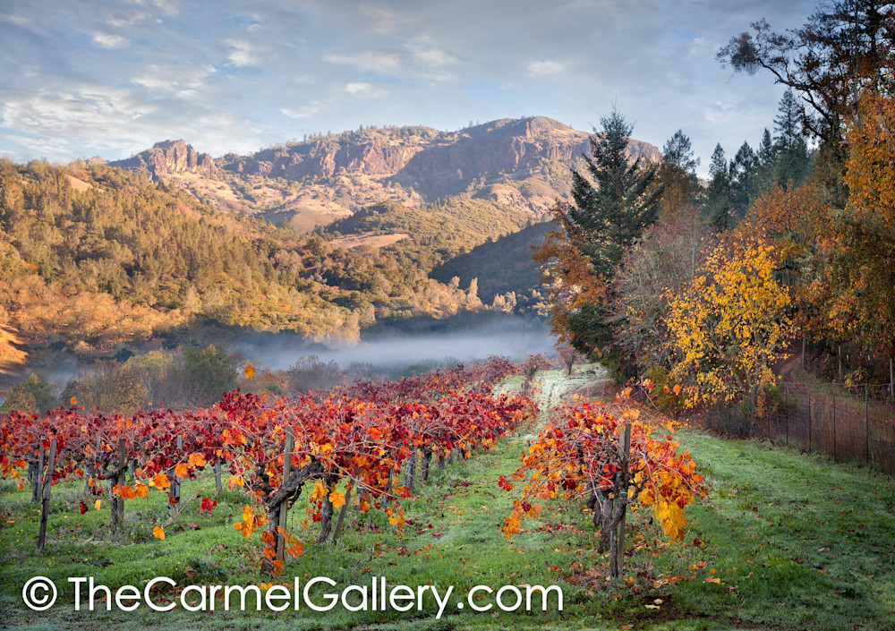Autumn in Calistoga Autumn in Calistoga