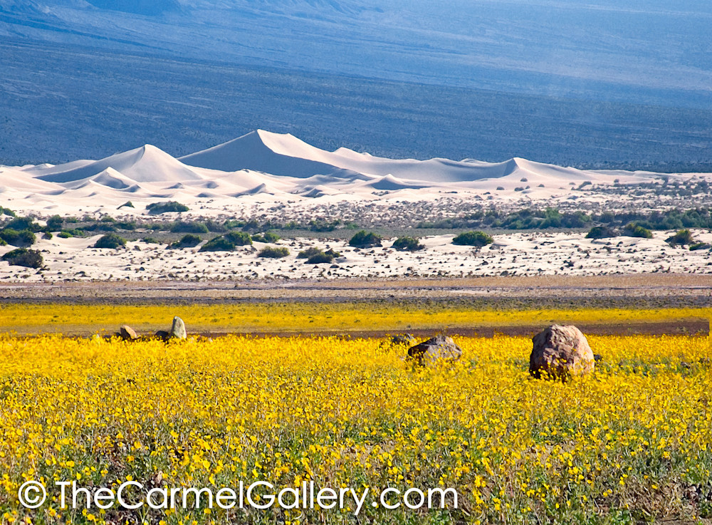 Desert Gold, Death Valley