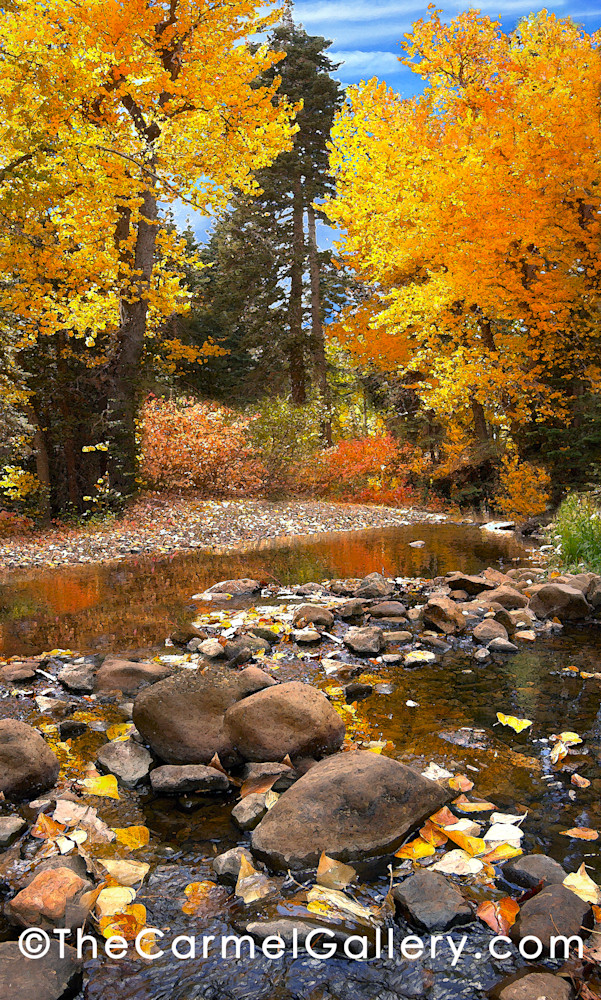 Blackwood Creek Autumn Art | The Carmel Gallery