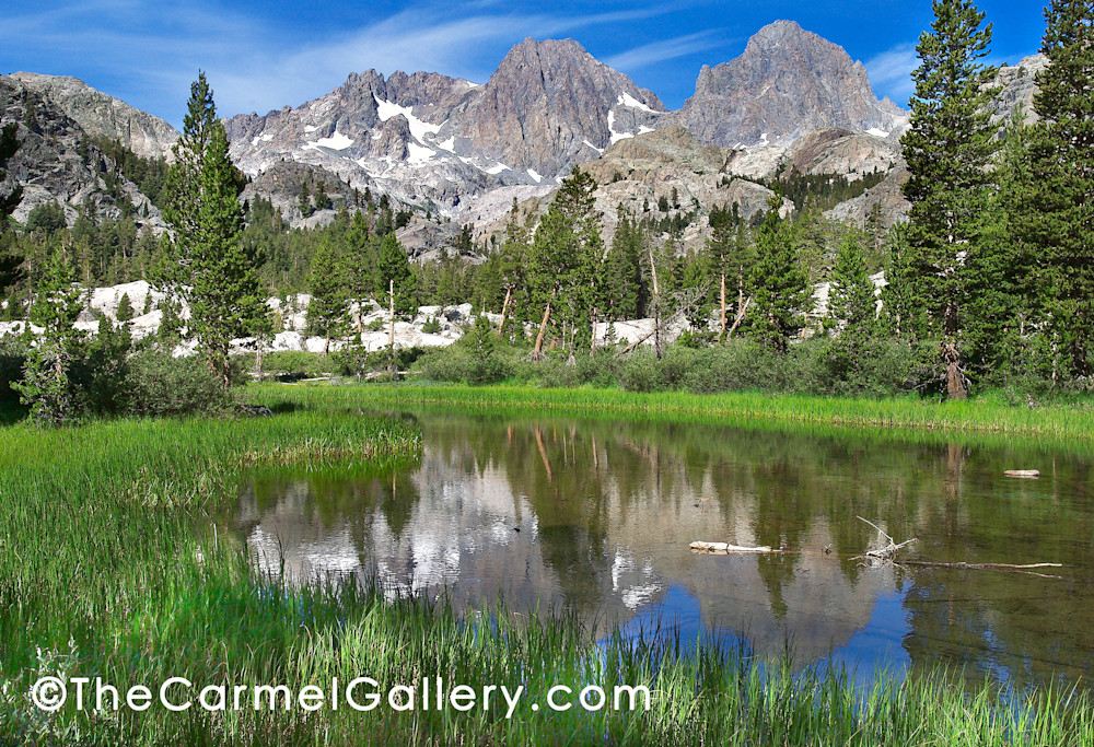Summer In The High Sierra Art | The Carmel Gallery