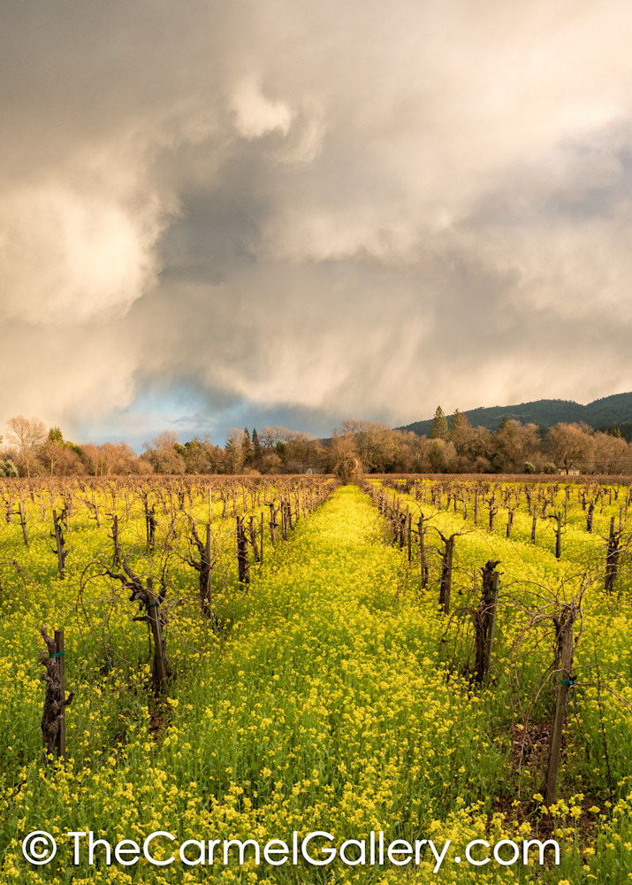 Spring Sky Art | The Carmel Gallery