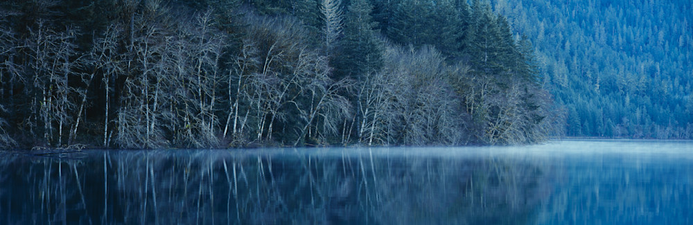 Fine art print of a forest reflecting into Crescent Lake on a misty morning, Olympic National Park by Greg Probst