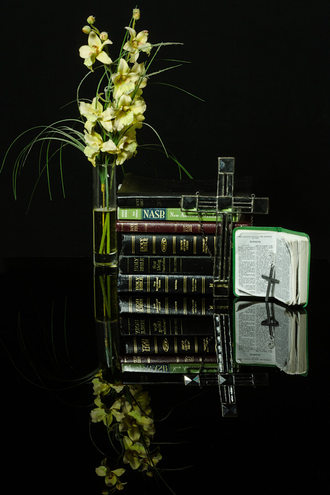 Fine Art Photographs of Flower Reflections on Black Plexiglass by Michael Pucciarelli