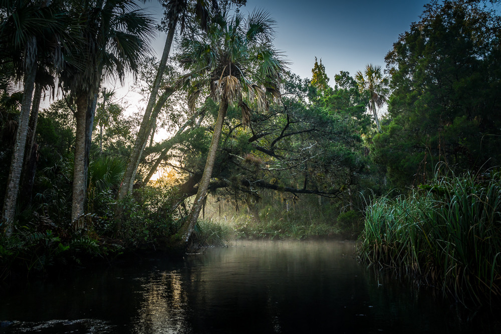 Chassahowitzka River, Florida, Landscape, Photography Chassahowitzka River, Florida, Landscape, Photography
