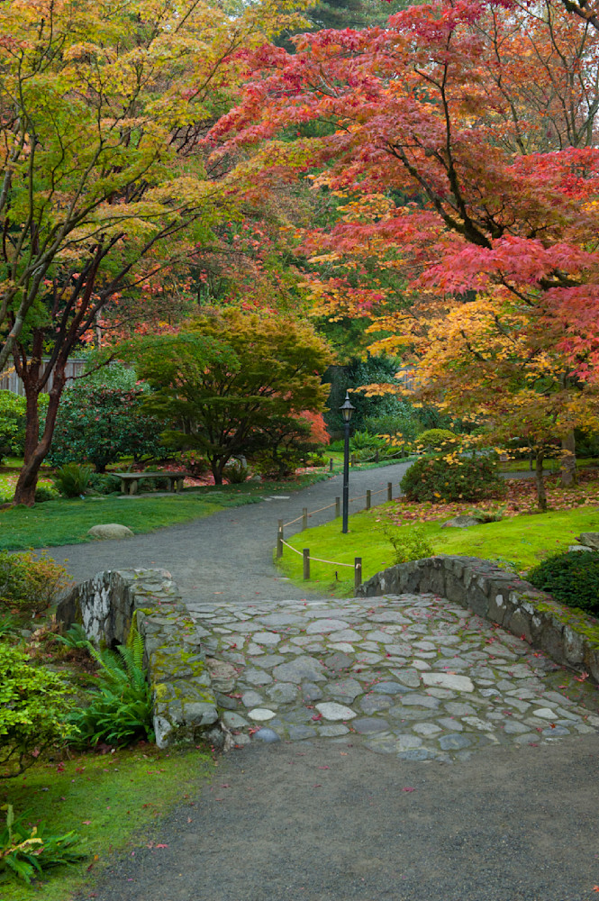  Fall colors in the Japanese Garden, Seattle 