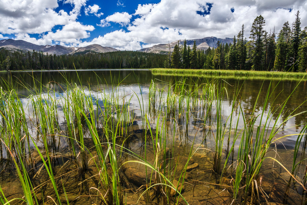 Old Crow Lake in the Grass