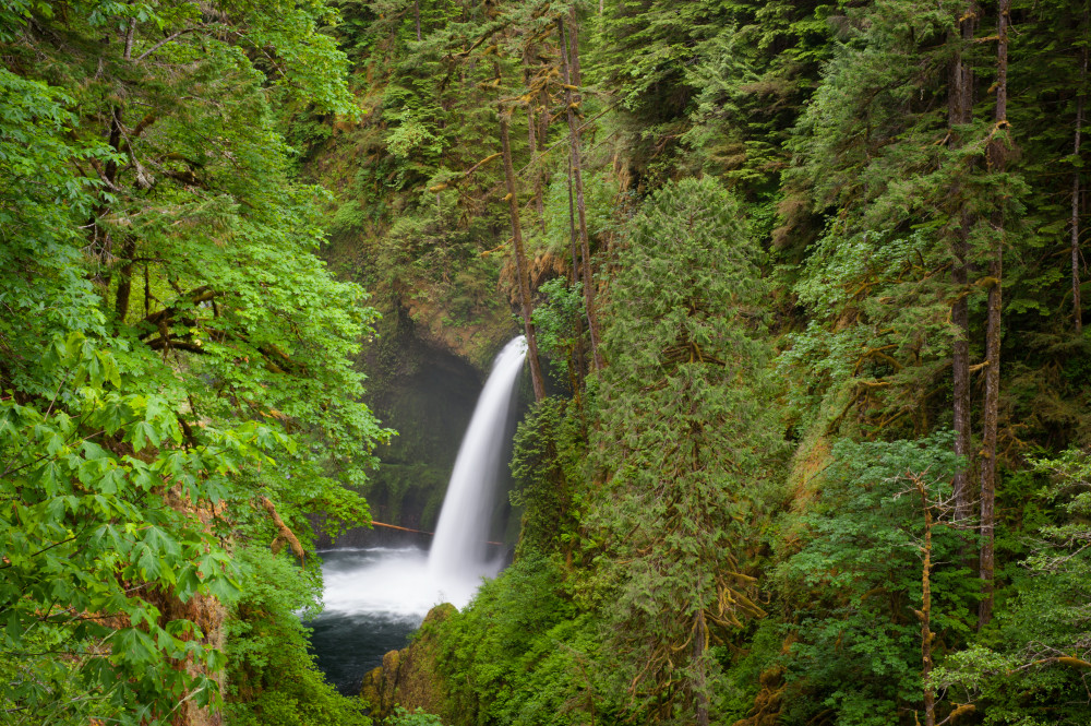 Metlako Falls, waterfall, Oregon, pristine, 