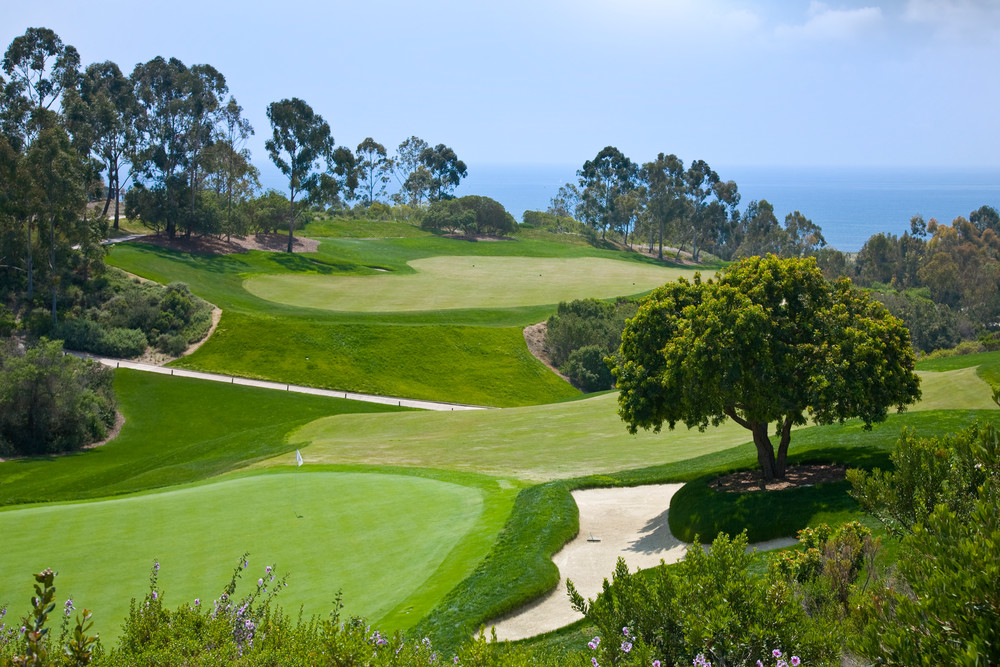Pelican Hill 18 South Photography Art | Foretography