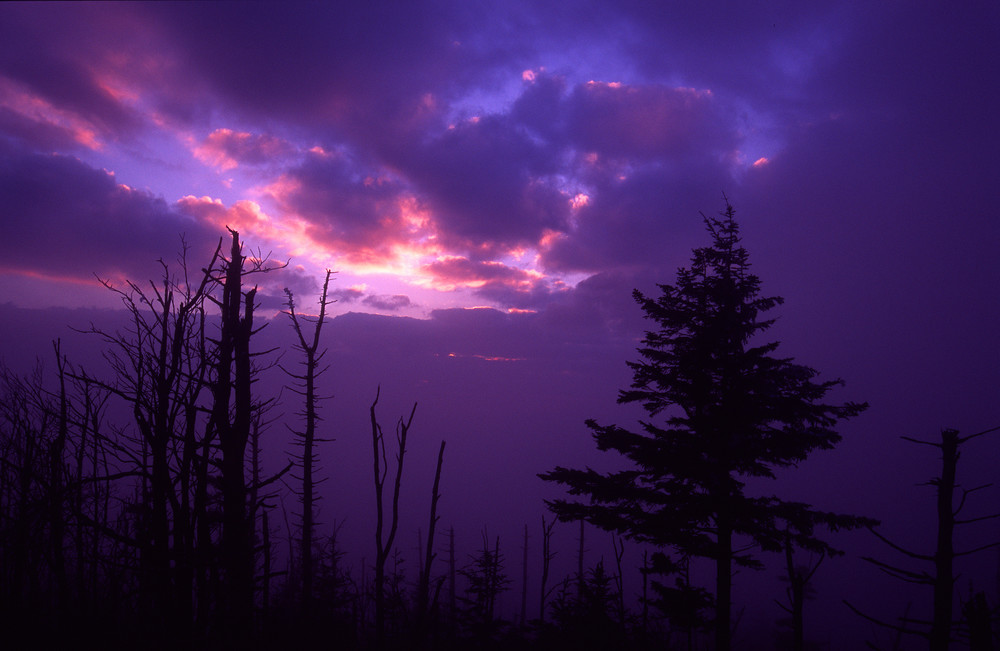 Twilight at Clingmans Dome