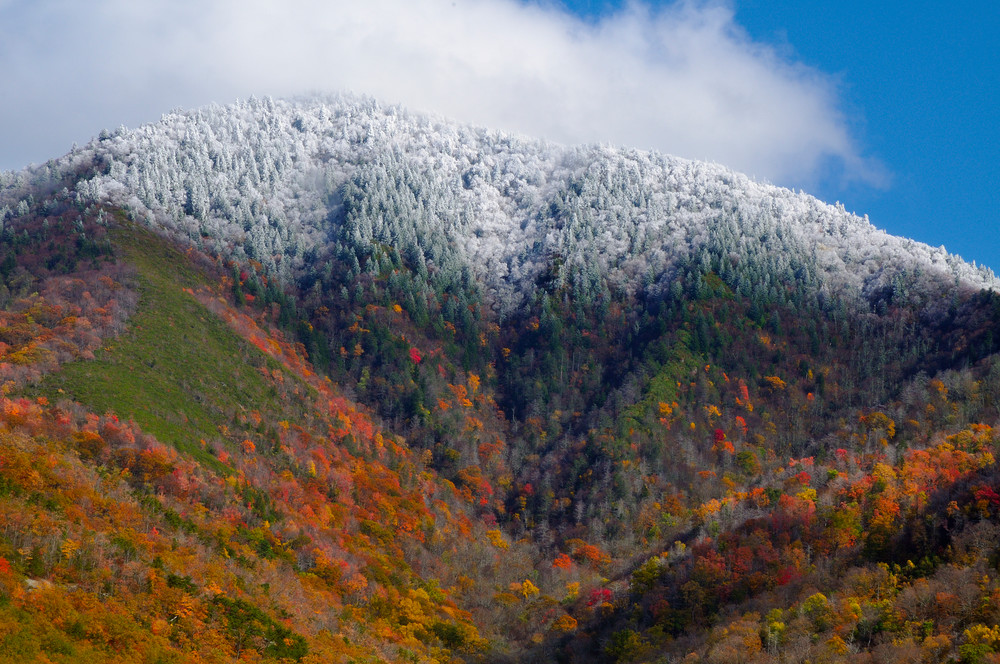 Snow-capped Mount Le Conte