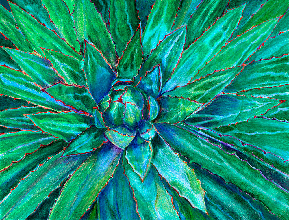 Agave Art | Fine Art New Mexico