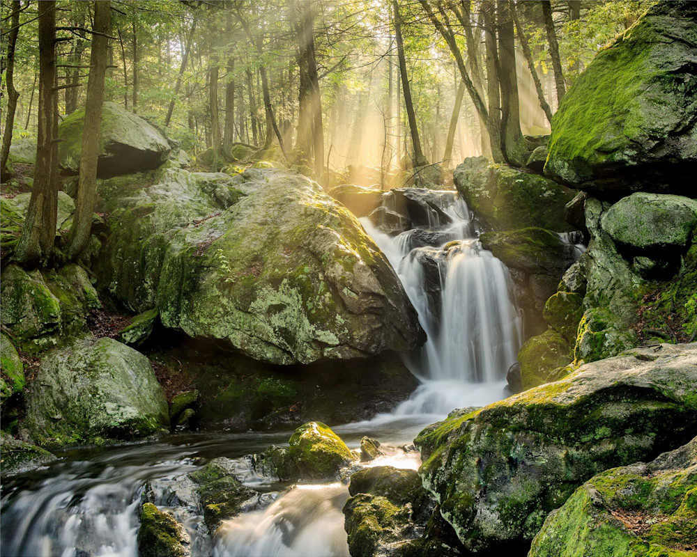 Peter Wnek photographed the sun breaks through the early morning fog at Buttermilk Falls in Connecticut.