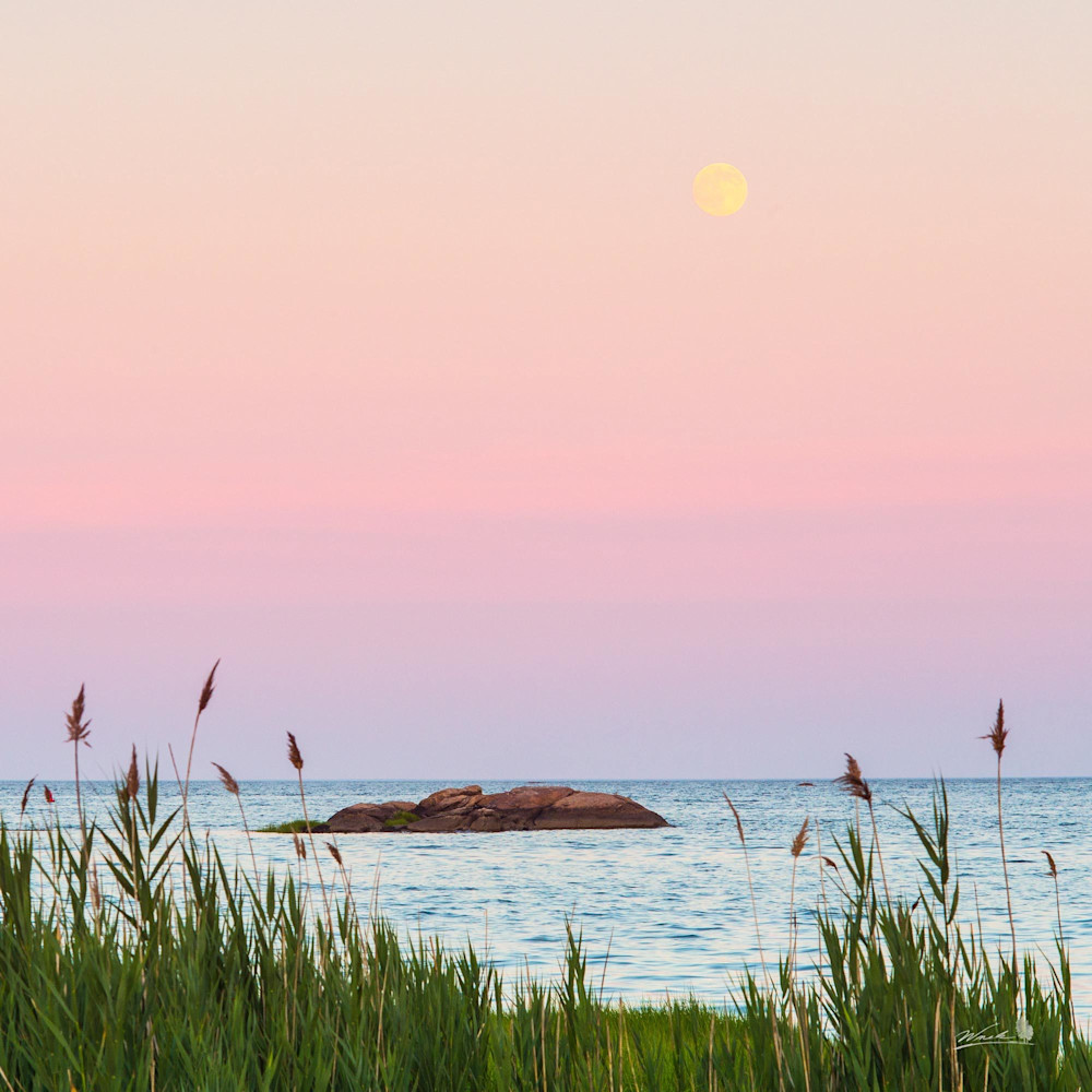 The super moon rises above Long Island Sound at Chaffinch Island.