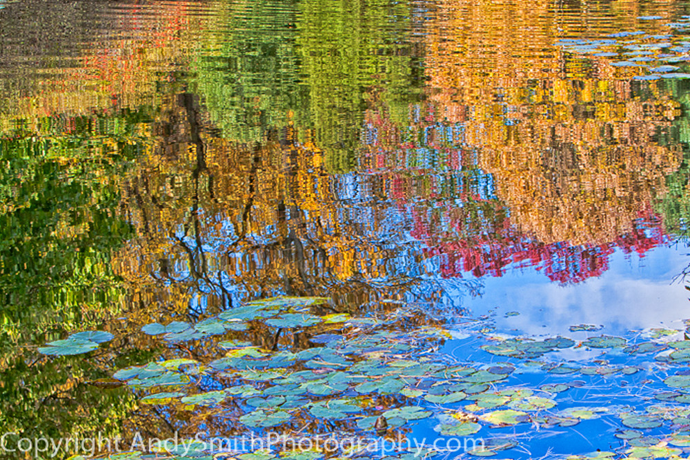 fine art photograph of Fall Reflection at Jenkins Arboretum