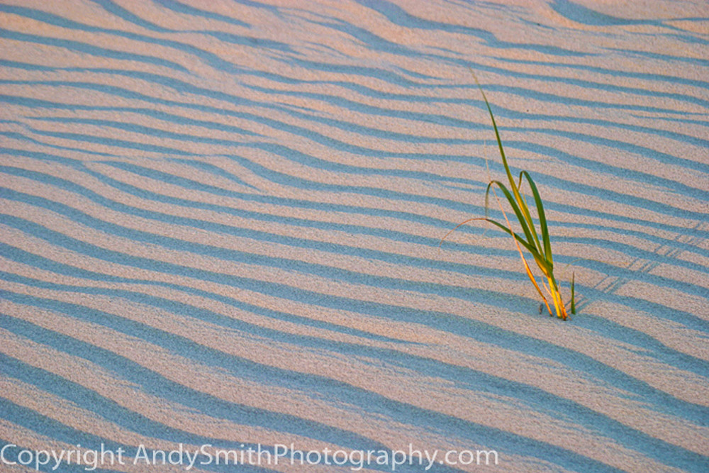 waves in the sand fine art photograph