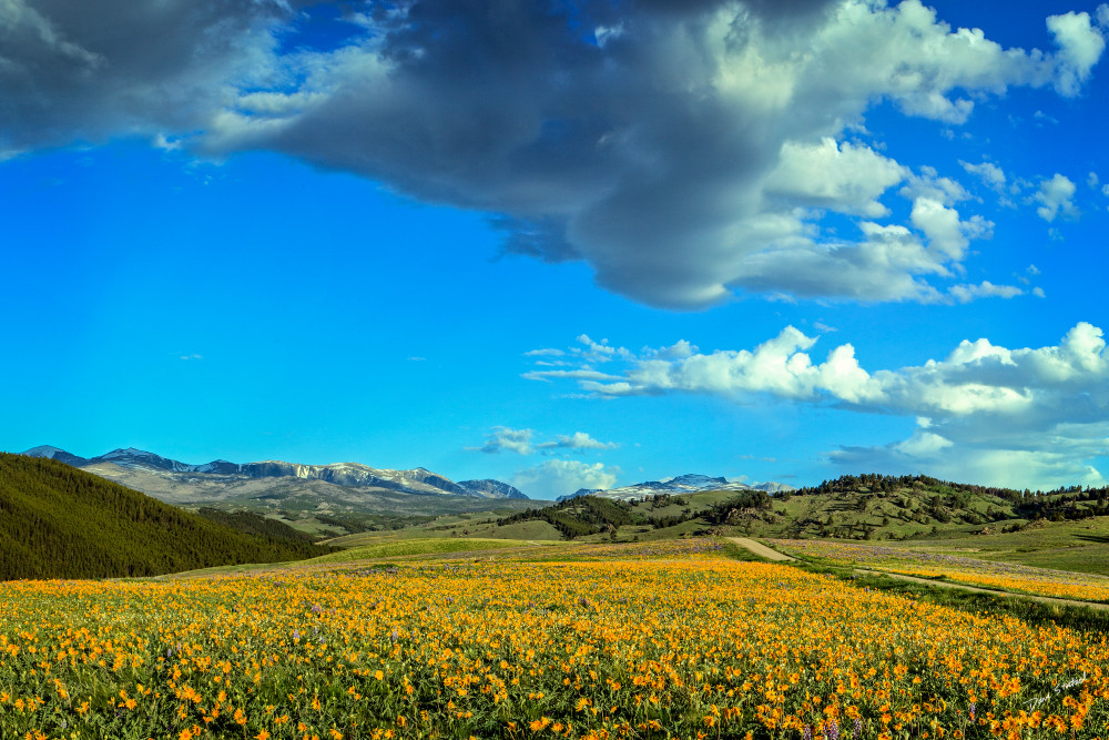 Wide angle photo of Bighorns from Grouse Mountain, Bighorn Mountains